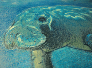 Screen shot 2014-02-24 at 8.58.58 AM